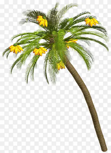 һ���㽶��-������