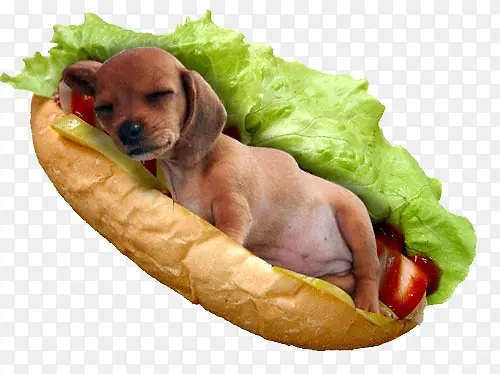 �����ȹ�����-������