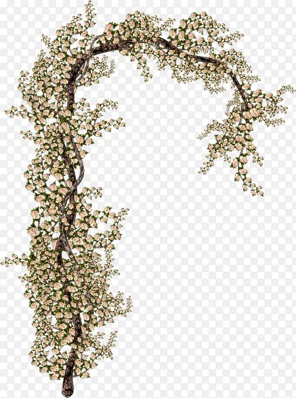 �ͷ�������֦-������