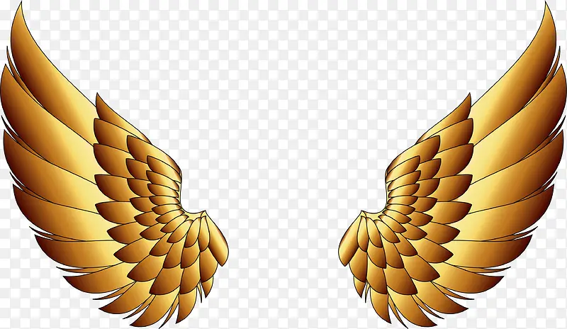 ��ɫ���Ч��-������