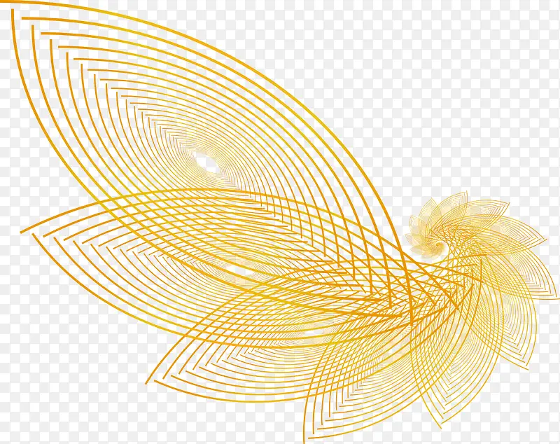 ���γ�� ����-������