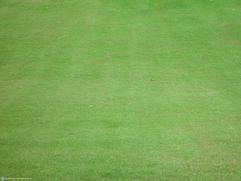 ��ƺ����-������