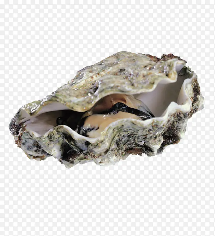 ���ʵ��ͼ-������