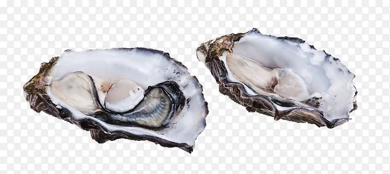 �����������-������