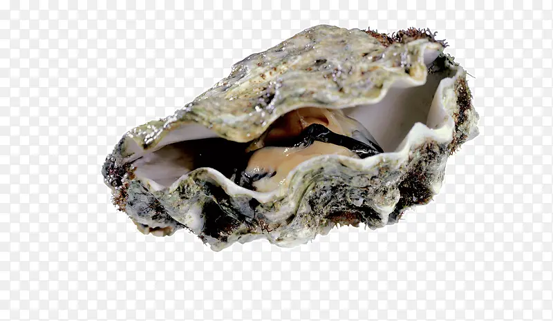 �������-������