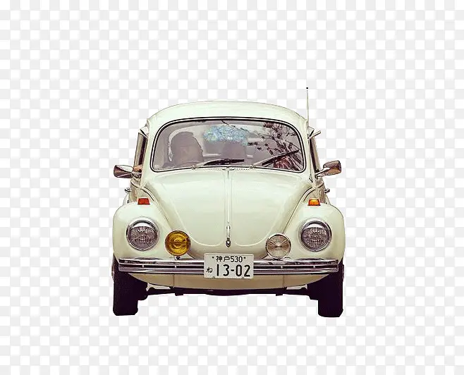 ��ɫ��������-������