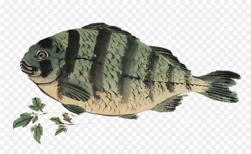 ˮ��С��-������