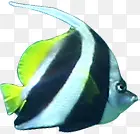 С�����ǲ�ɫ-������