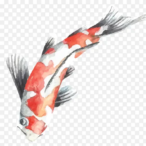 �ֻ�����-������