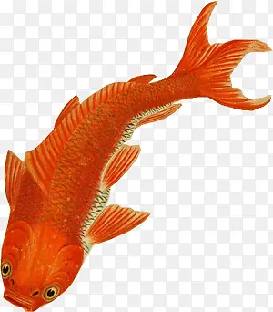 ��ͨ�ֻ�����-������