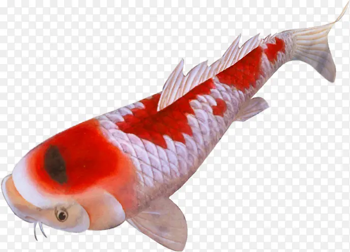 �ɰ��ֻ渻������-������