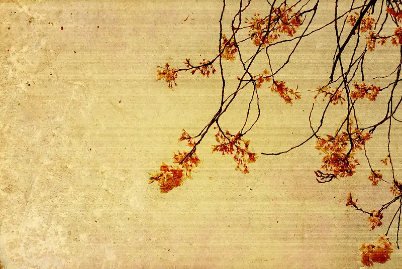 ���Ż��ܱ����ز�-������