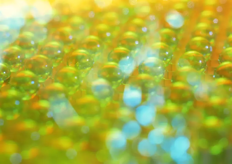 IT�����ز�024-������