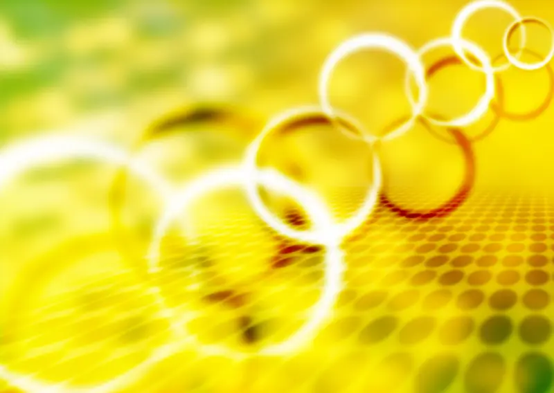 IT�����ز�043-������