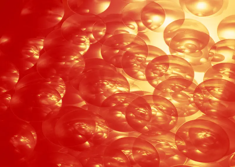 IT�����ز�015-������