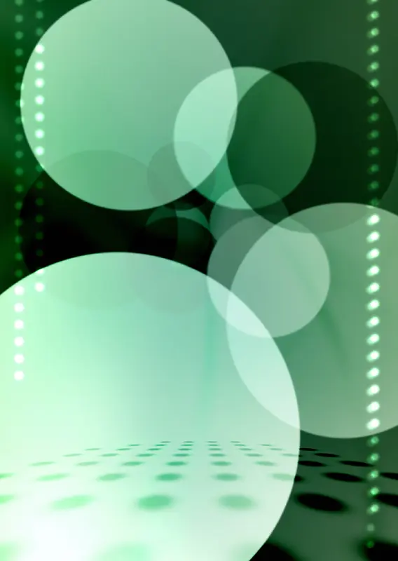 IT�����ز�080-������