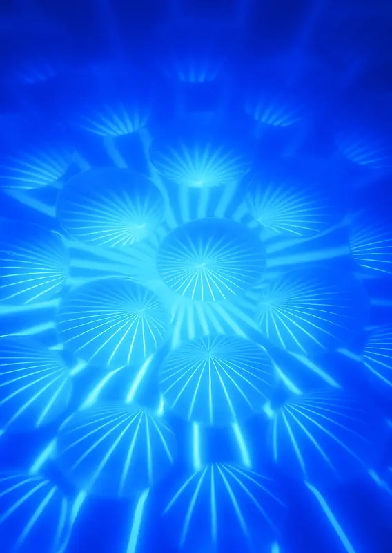 IT�����ز�020-������