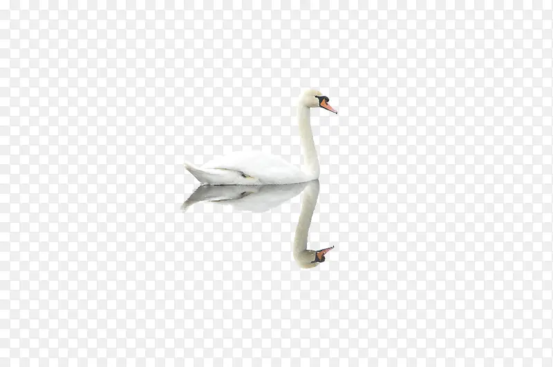 ��ɫ���-������