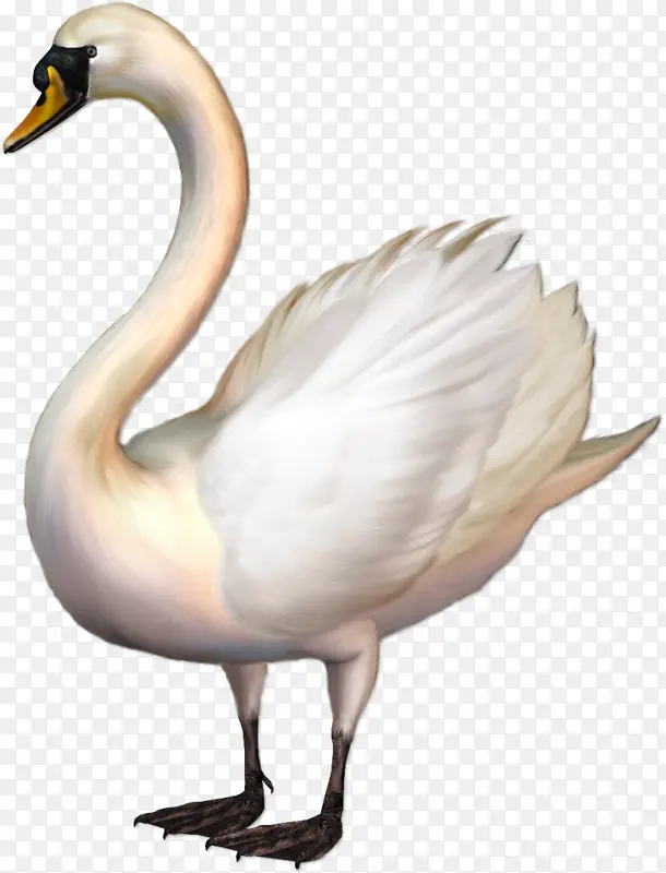 �ɰ������-������