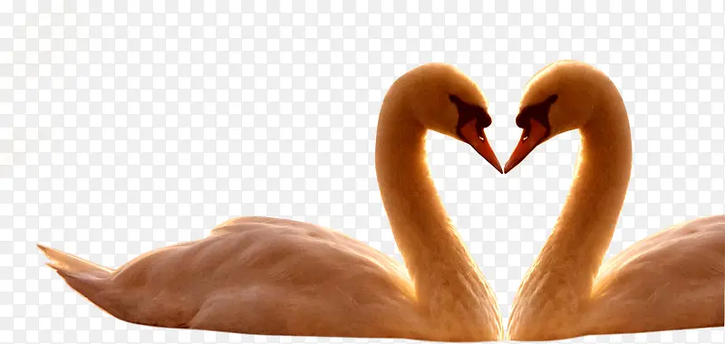 Ψ�������嶯��-������