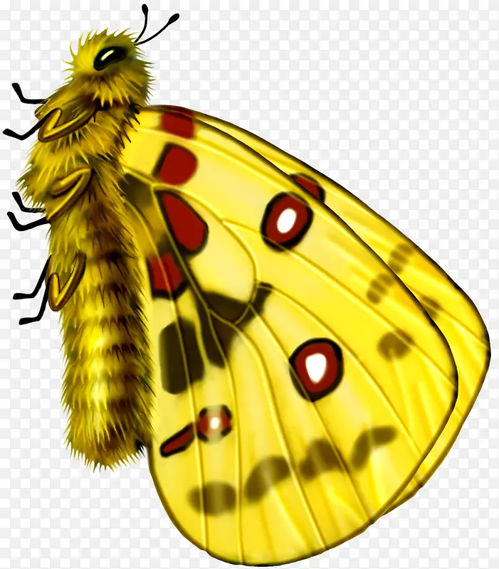 ����-������