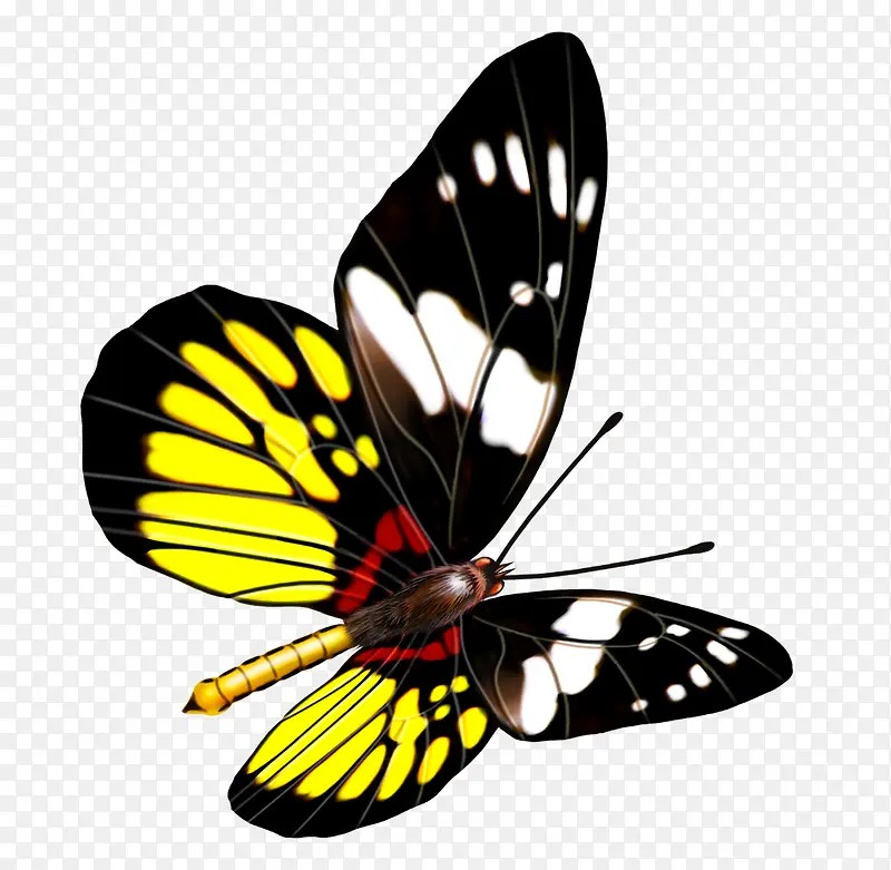 ����-������