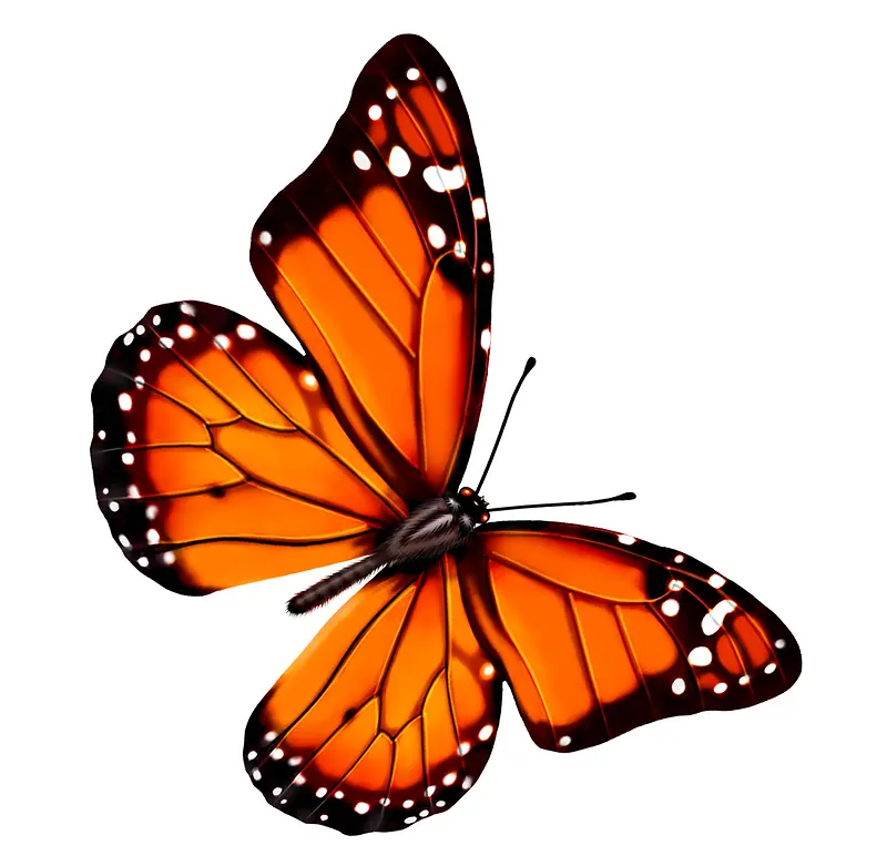 ����-������