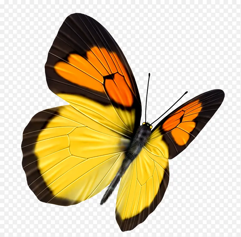 ����-������