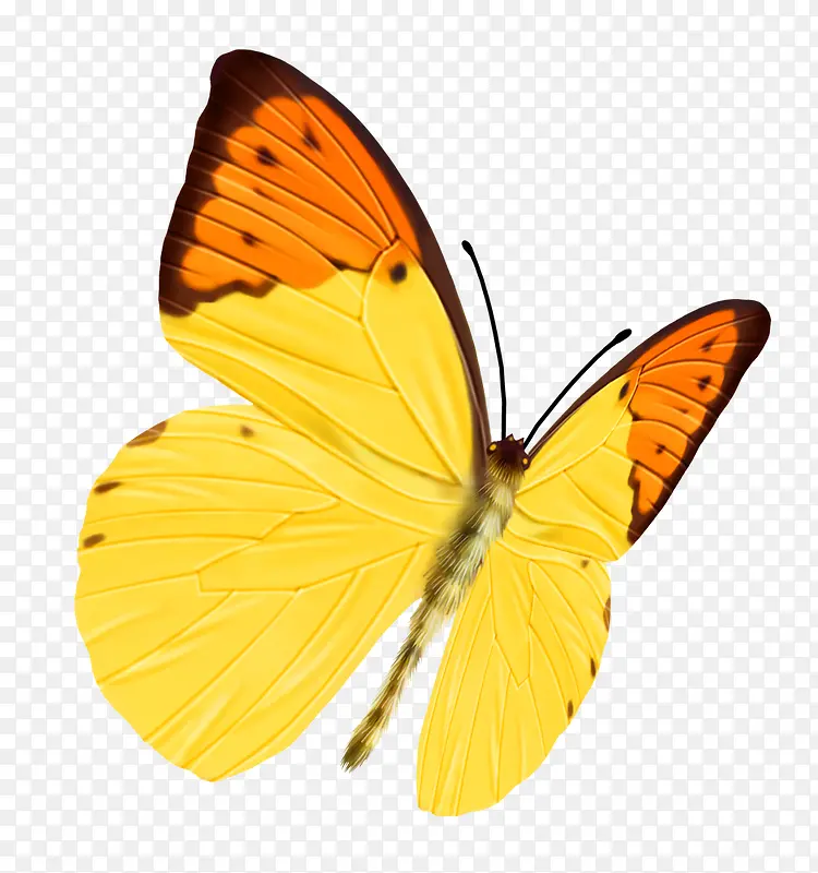 ����-������