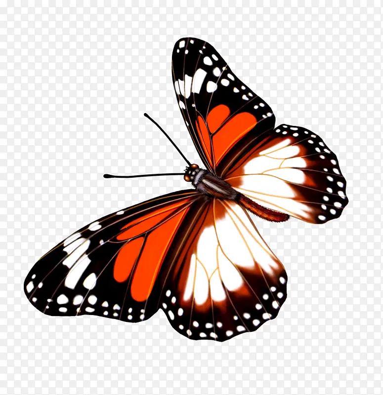 ����-������