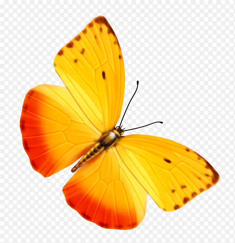 ����-������