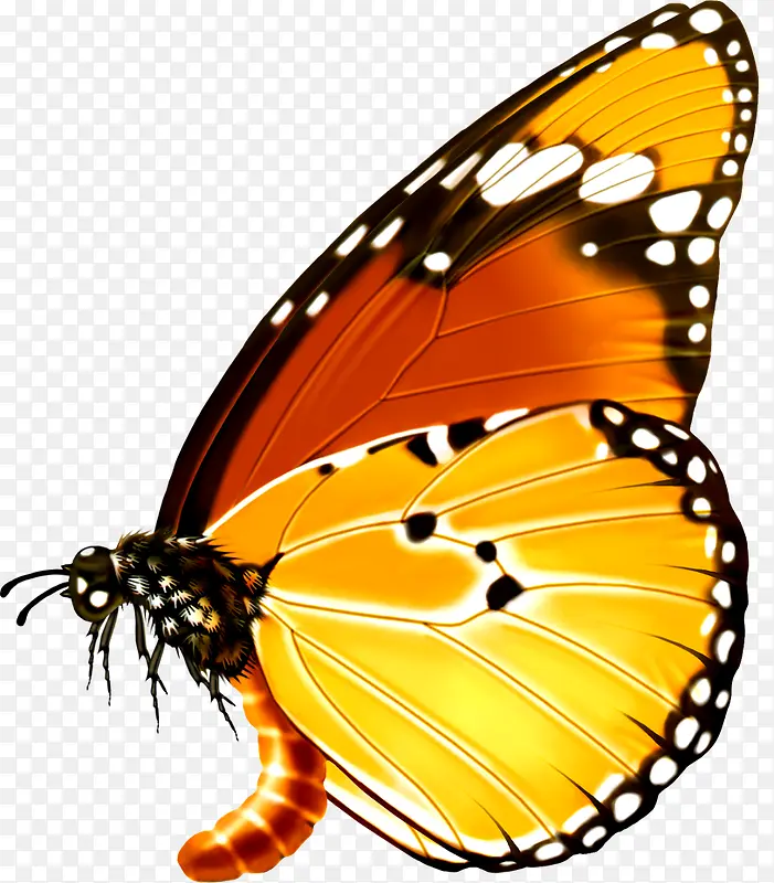 ����-������