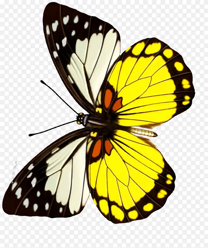 ����-������