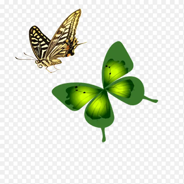 ��ɫ����-������