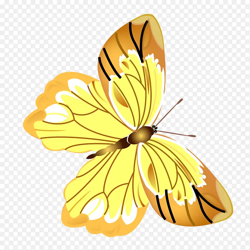 ��������Ʒ-������