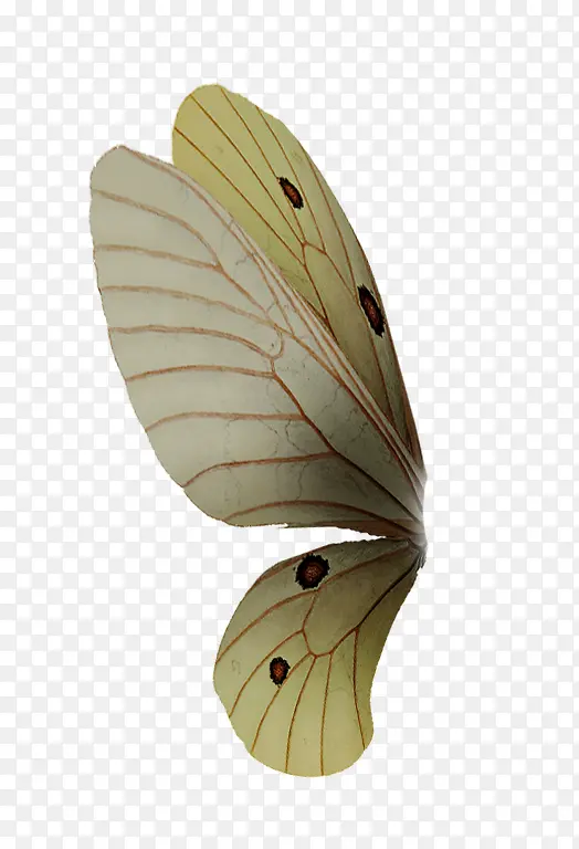 ���-������