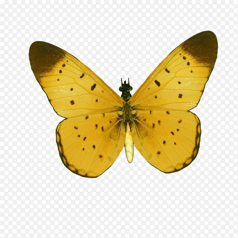 ����-������