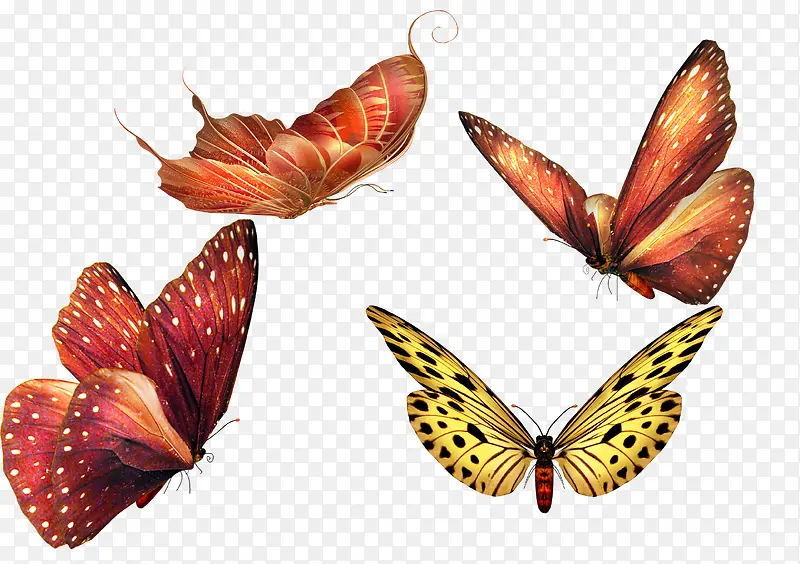 ������ɫ���������׳�����-������