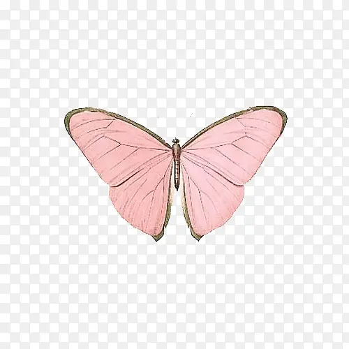 ��ɫ����-������