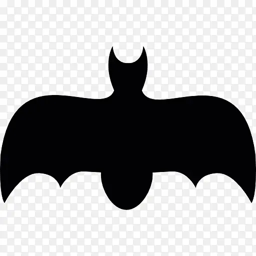 �����ſ����ͼ��-������