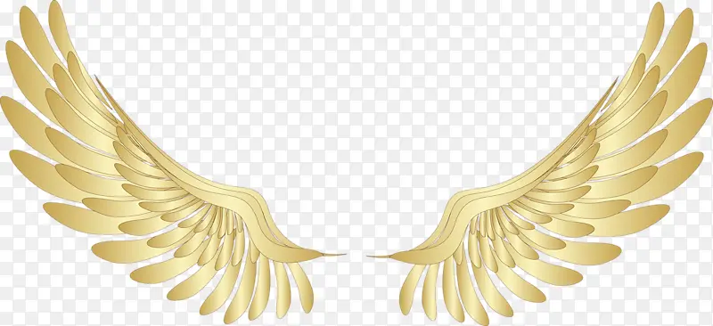 �ſ��ĳ��-������