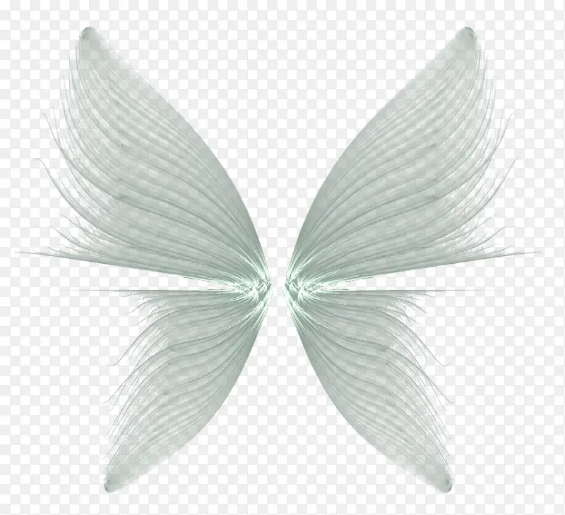 �ſ��ĳ��ģ��-������