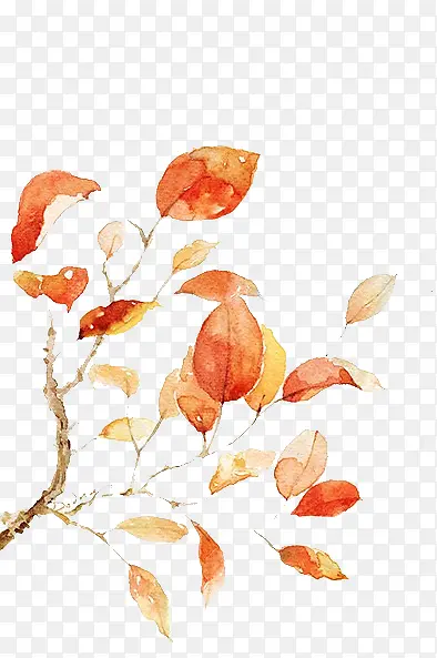 Ư����Ҷ-������