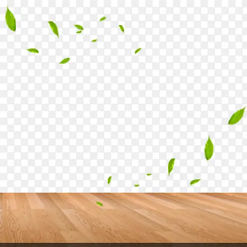 �ذ壬Ҷ��-������