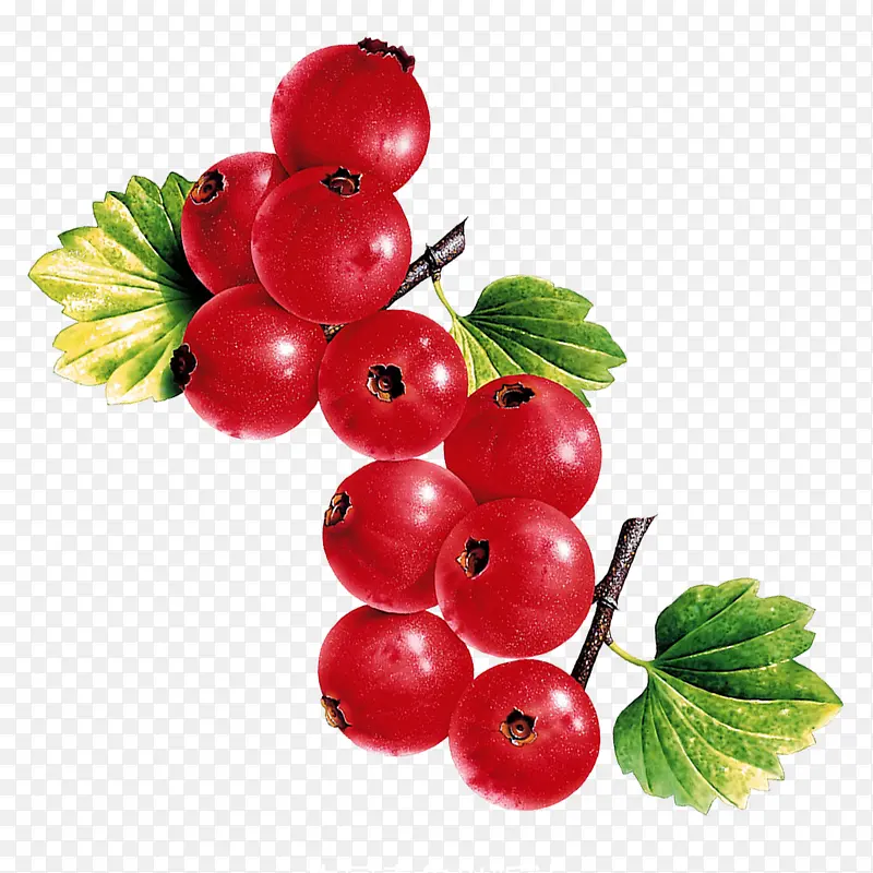 ����ˮ��-������