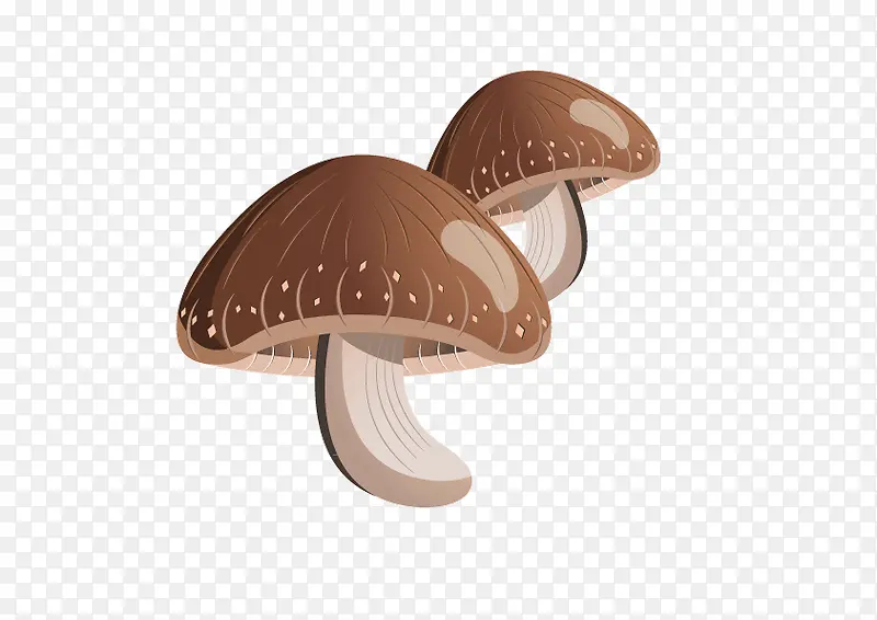 �㹽-������