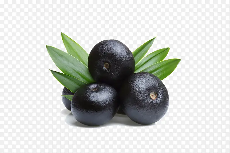 ɽ��-������