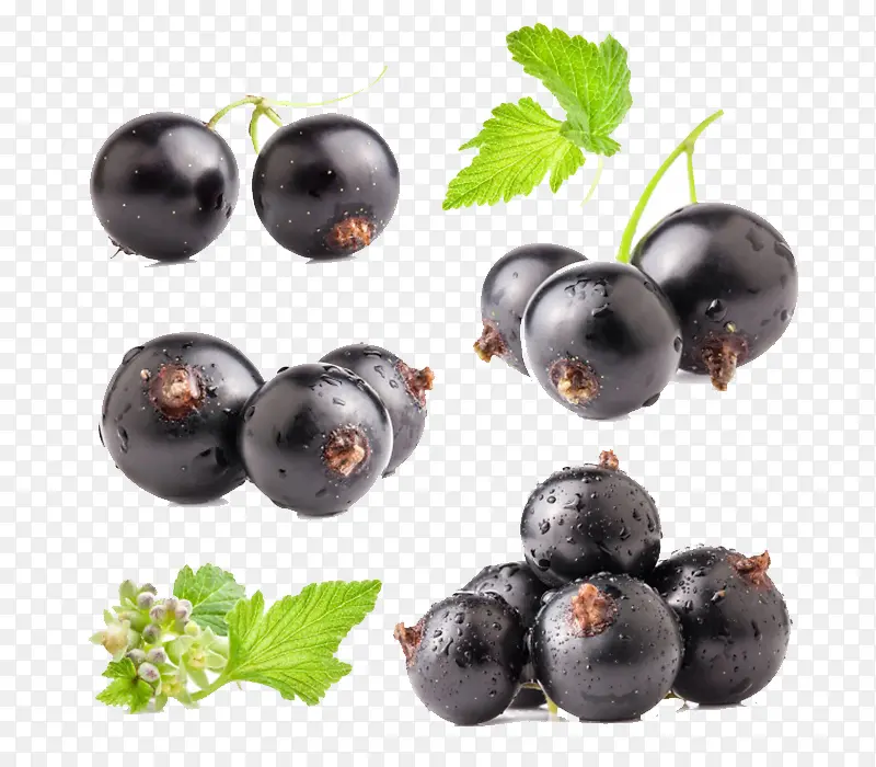 ��ݮ-������