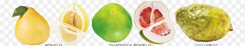 ��ɫˮ��-������