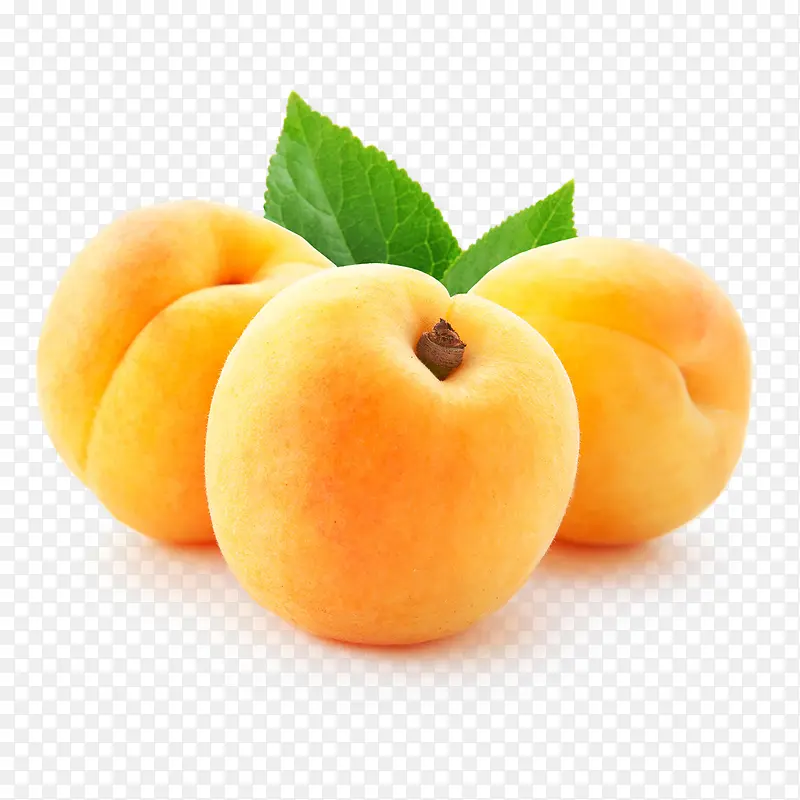 ������Ӱ���ʵ�ˮ������-������